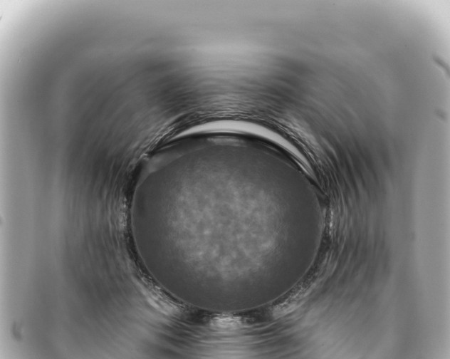 X0000095110413200712141156