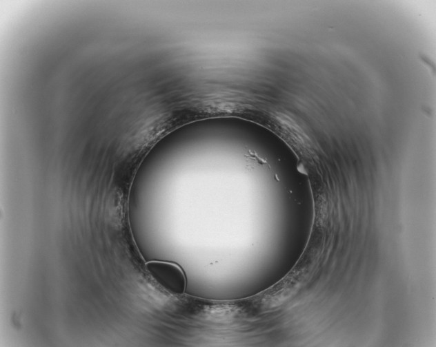 X0000095110414200712141156