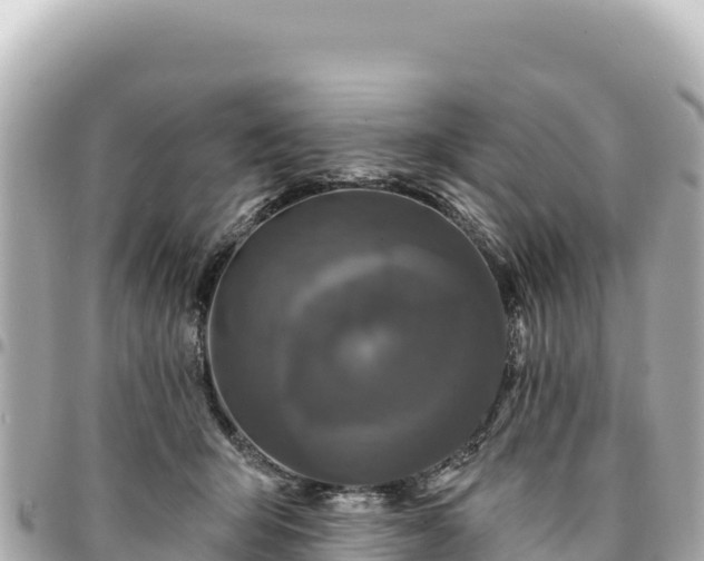 X0000095110415200712141156