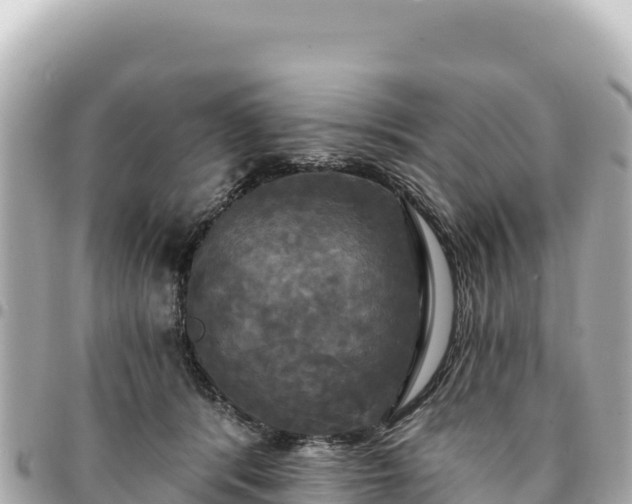 X0000095110416200712141156