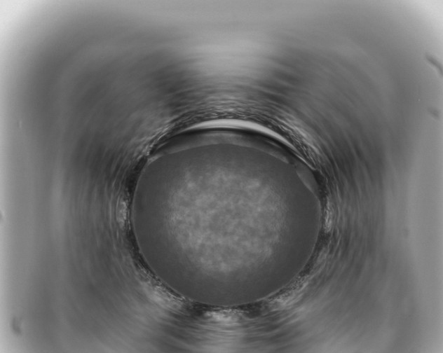 X0000095110417200712141156