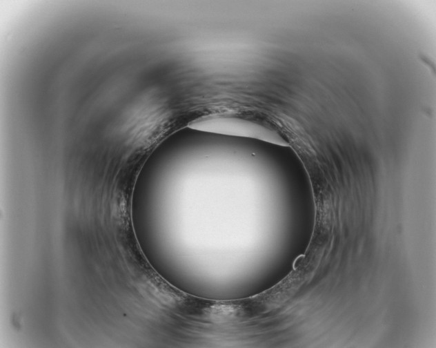 X0000095110418200712141156