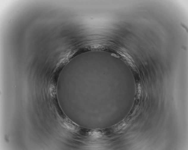 X0000095110419200712141156