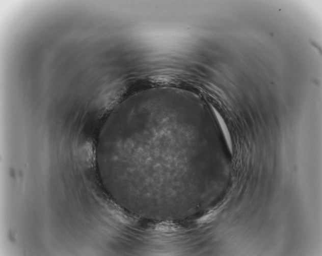 X0000095110420200712141156