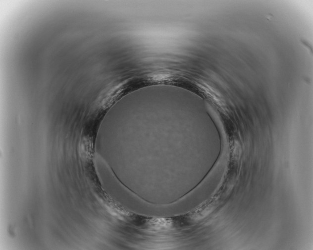 X0000095110421200712141156