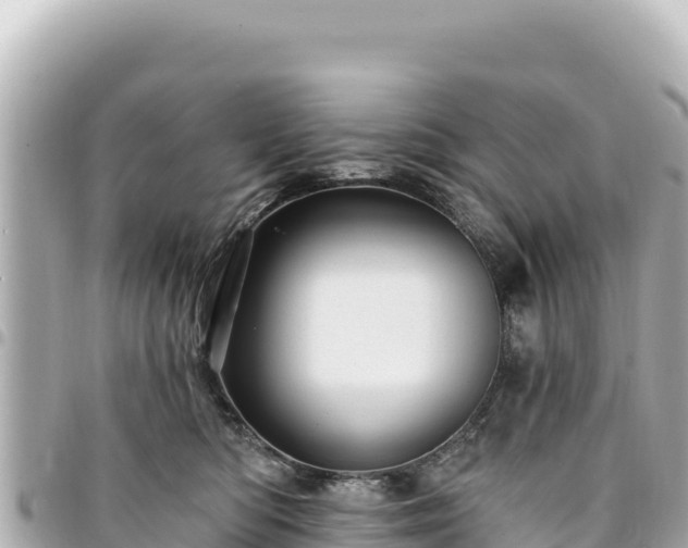 X0000095110422200712141156