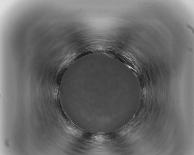 X0000095110423200712141156