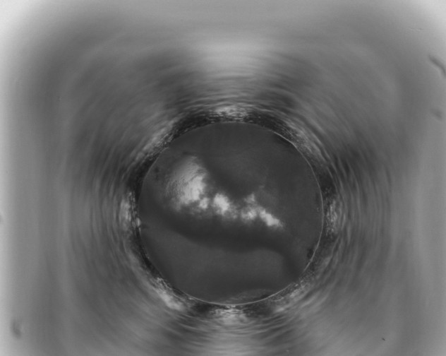 X0000095110424200712141156