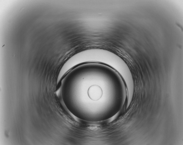 X0000095110425200712141156