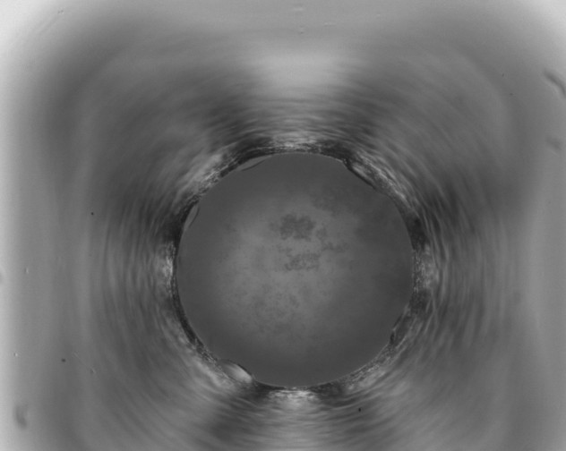 X0000095110427200712141156