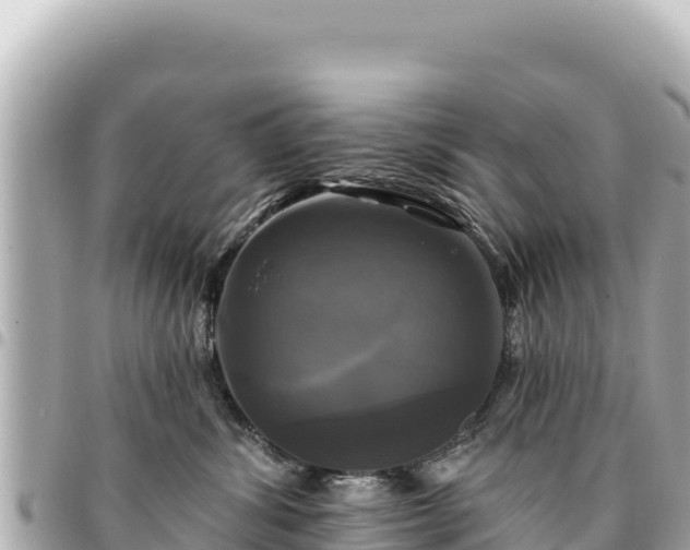 X0000095110428200712141156