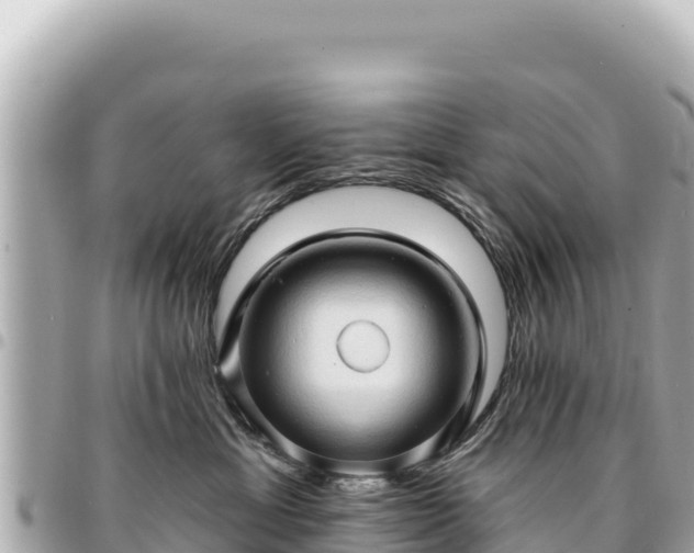 X0000095110429200712141156