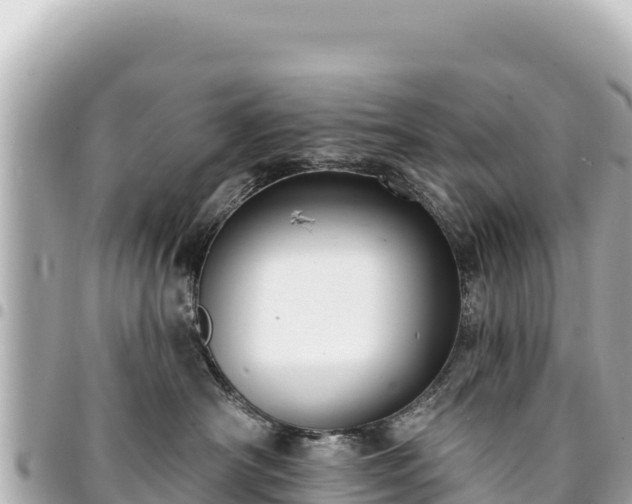 X0000095110430200712141156