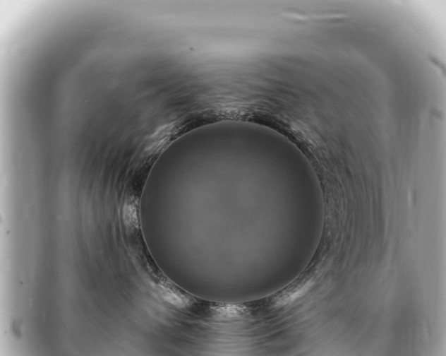 X0000095110432200712141156