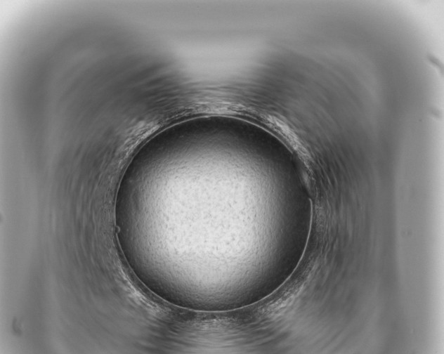 X0000095110433200712141155