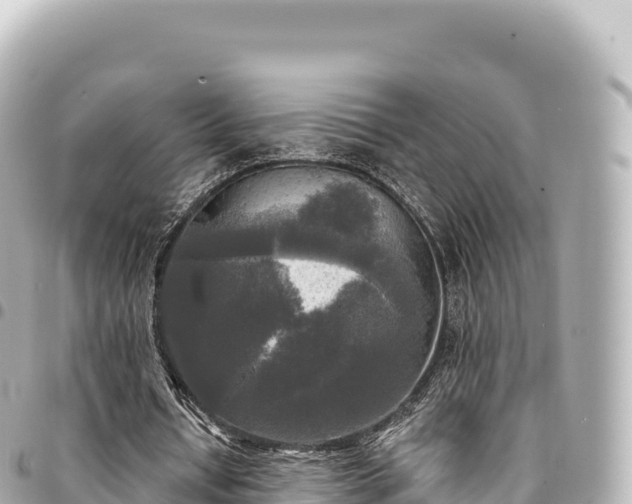 X0000095110434200712141155