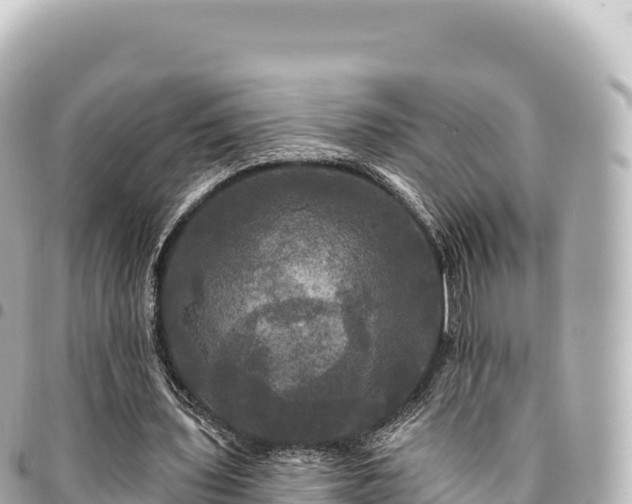 X0000095110435200712141155