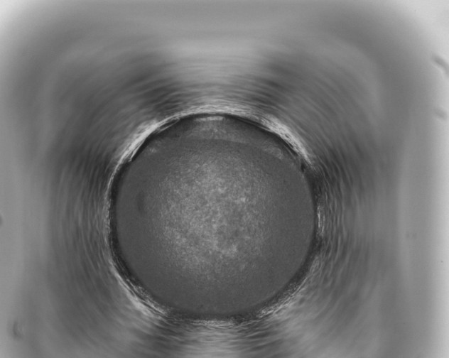 X0000095110436200712141155