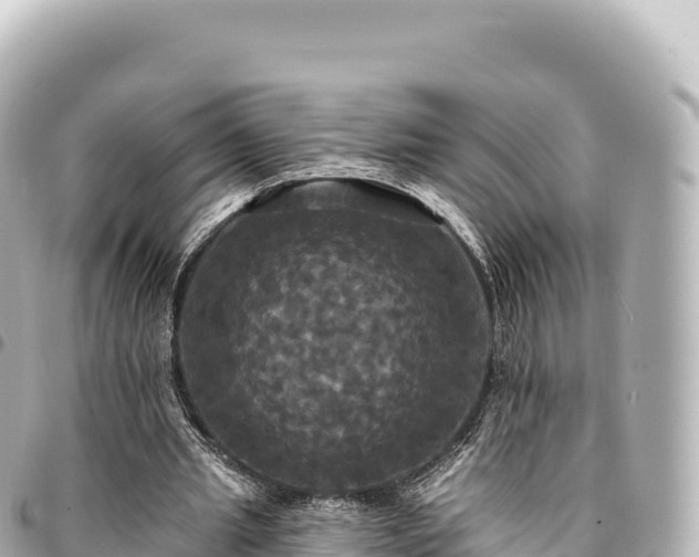 X0000095110437200712141155