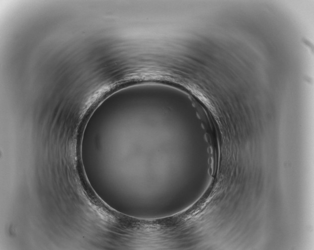 X0000095110438200712141155