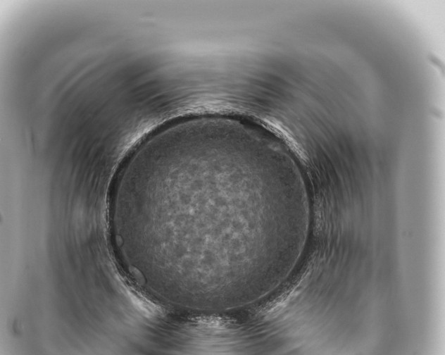 X0000095110439200712141155