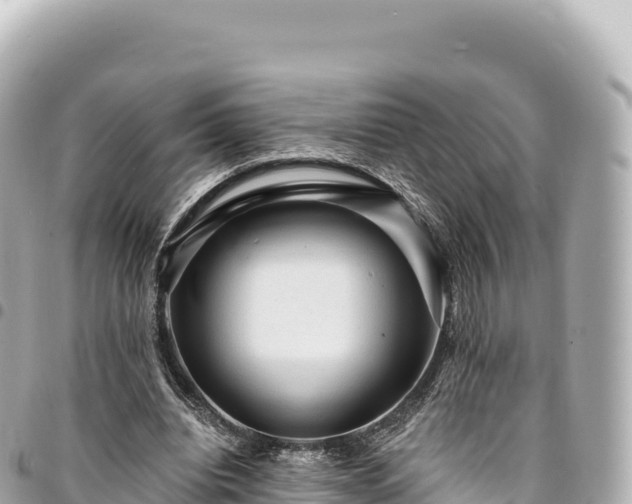 X0000095110440200712141155