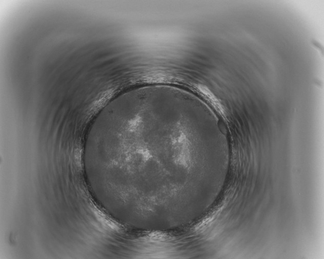 X0000095110441200712141155