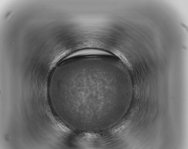 X0000095110442200712141155