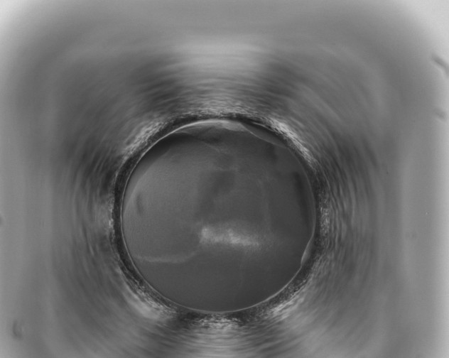 X0000095110443200712141155