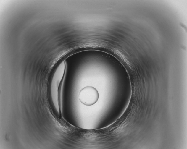 X0000095110444200712141155