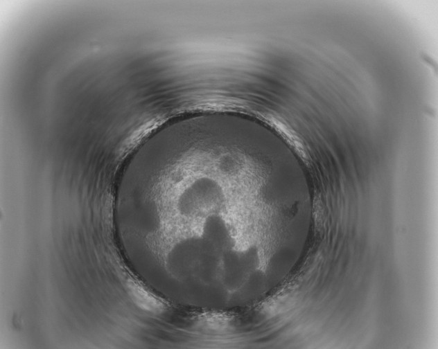 X0000095110445200712141155