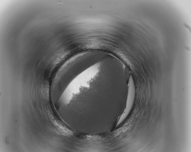 X0000095110446200712141155