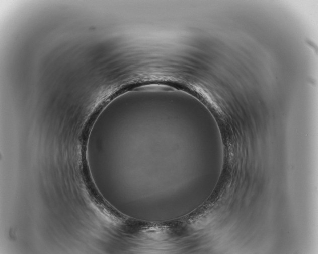 X0000095110447200712141155