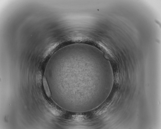 X0000095110448200712141156