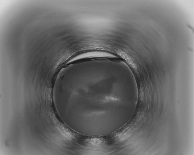 X0000095110449200712141156