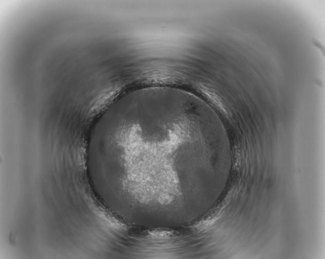 X0000095110450200712141156