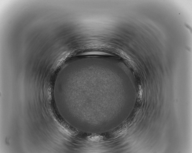 X0000095110452200712141156