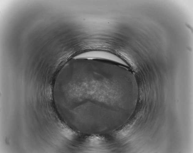 X0000095110453200712141156