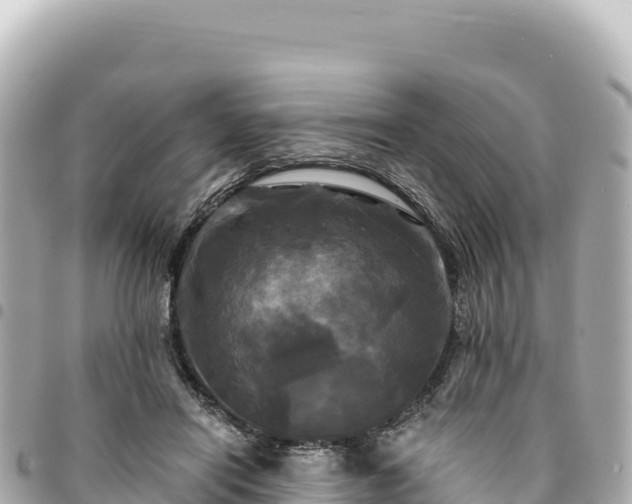 X0000095110454200712141156