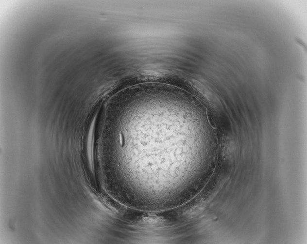 X0000095110455200712141156