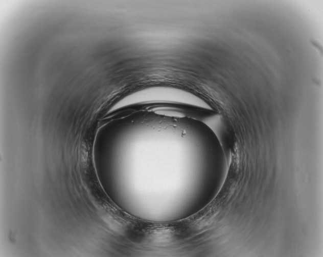 X0000095110456200712141156