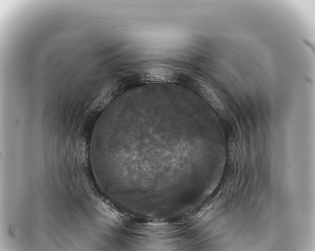 X0000095110457200712141156