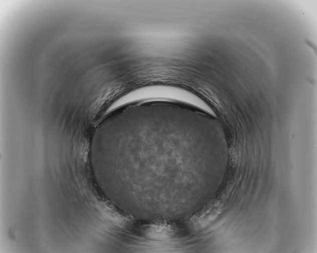 X0000095110458200712141156