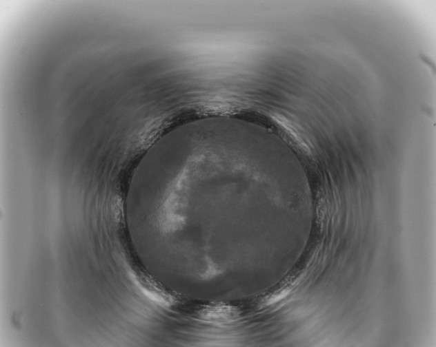 X0000095110459200712141156