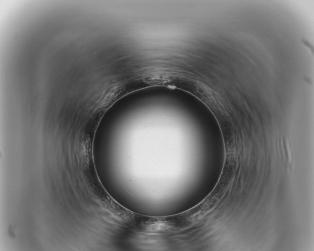 X0000095110460200712141156