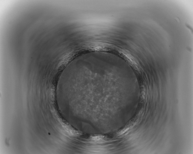 X0000095110461200712141156