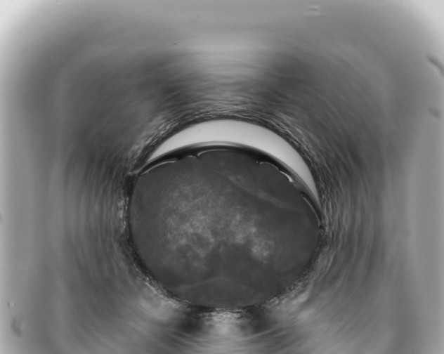 X0000095110462200712141156