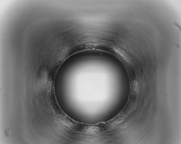 X0000095110463200712141156