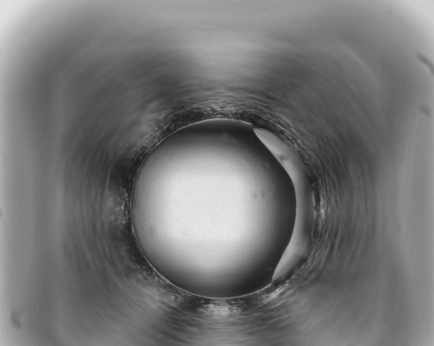 X0000095110464200712141156