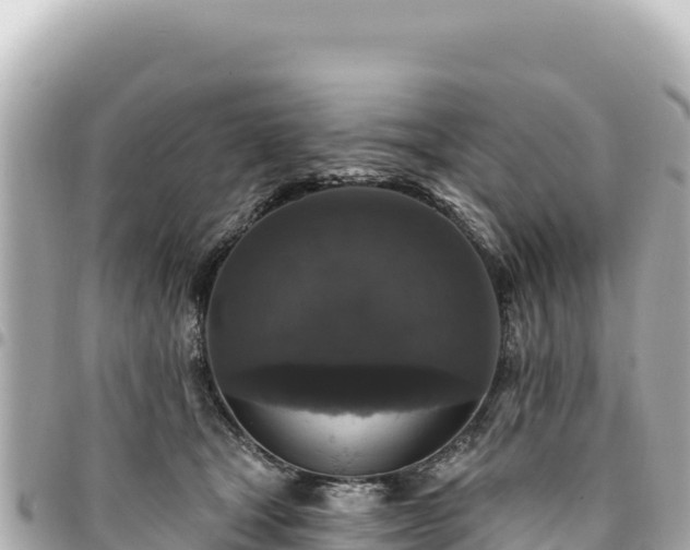 X0000095110465200712141156